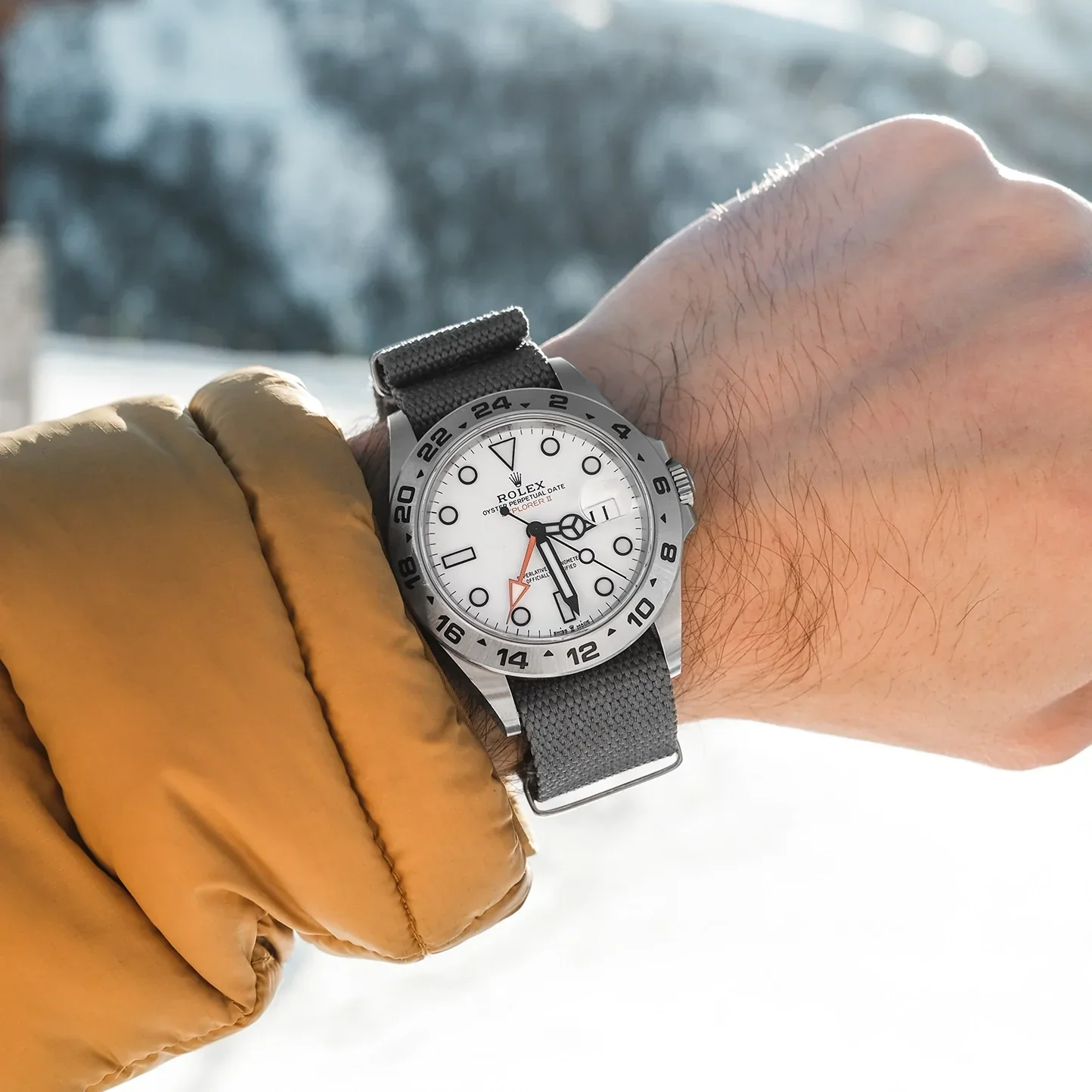 Bark & Jack Grey Seventy30 Strap - Image 2
